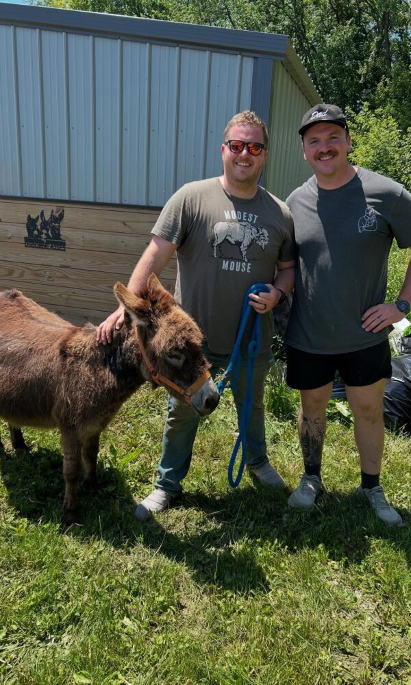 miniature donkey breeders