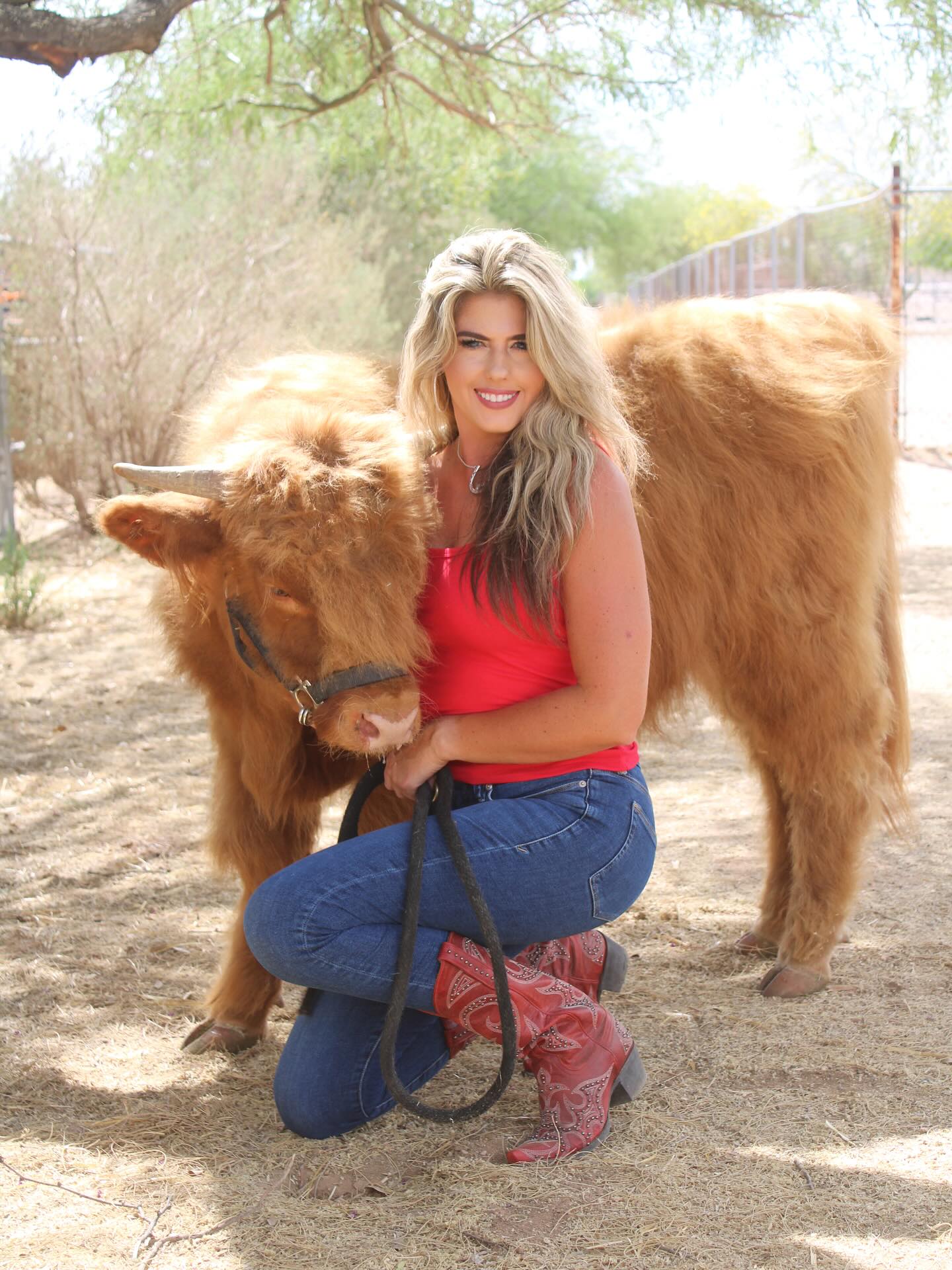 Highland Mini Cow for Sale