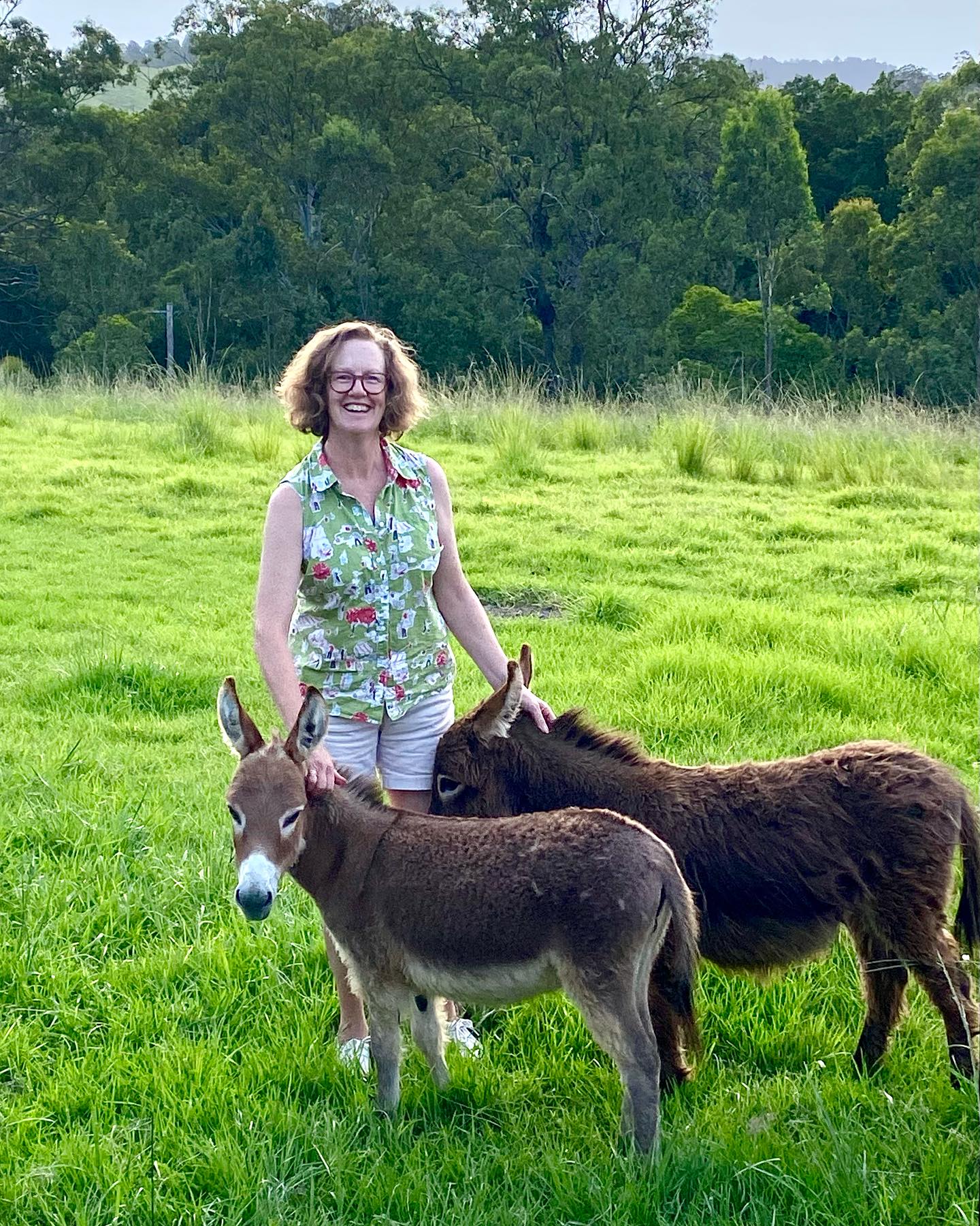 Mini Burro for Sale