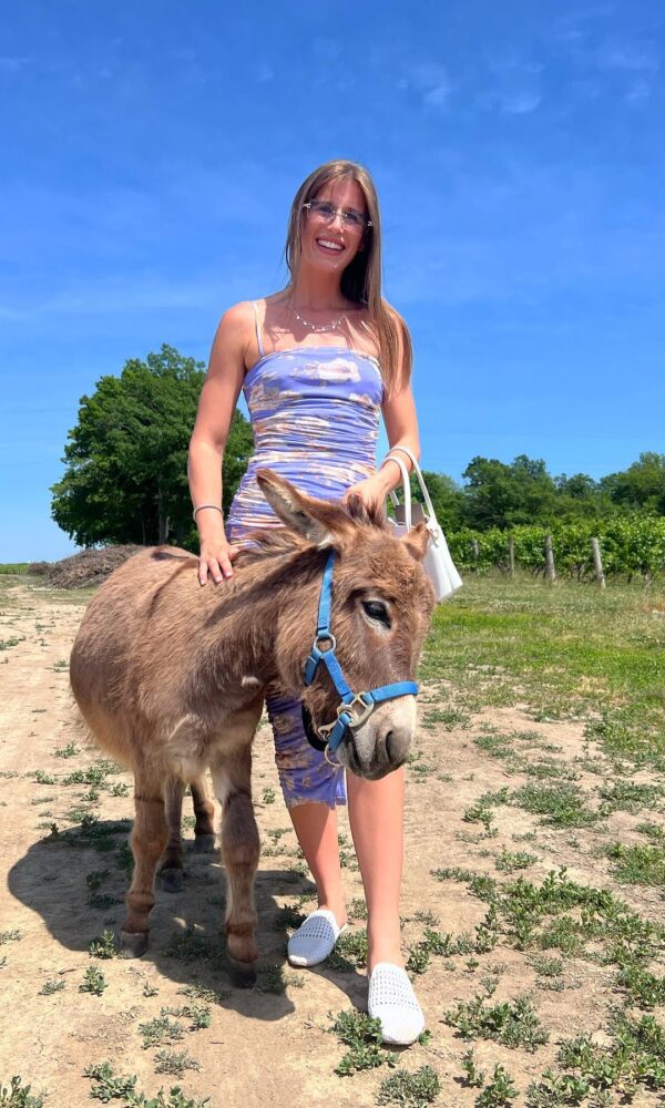 Micro Mini Donkey